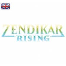 MTG - Zendikar Rising Commander Deck Display (6 Decks)