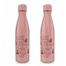 Disney Princess (Thirsty Work) Metal Drinks Bottle